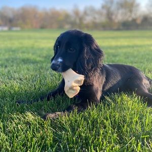 Meet your Posher, Natalie